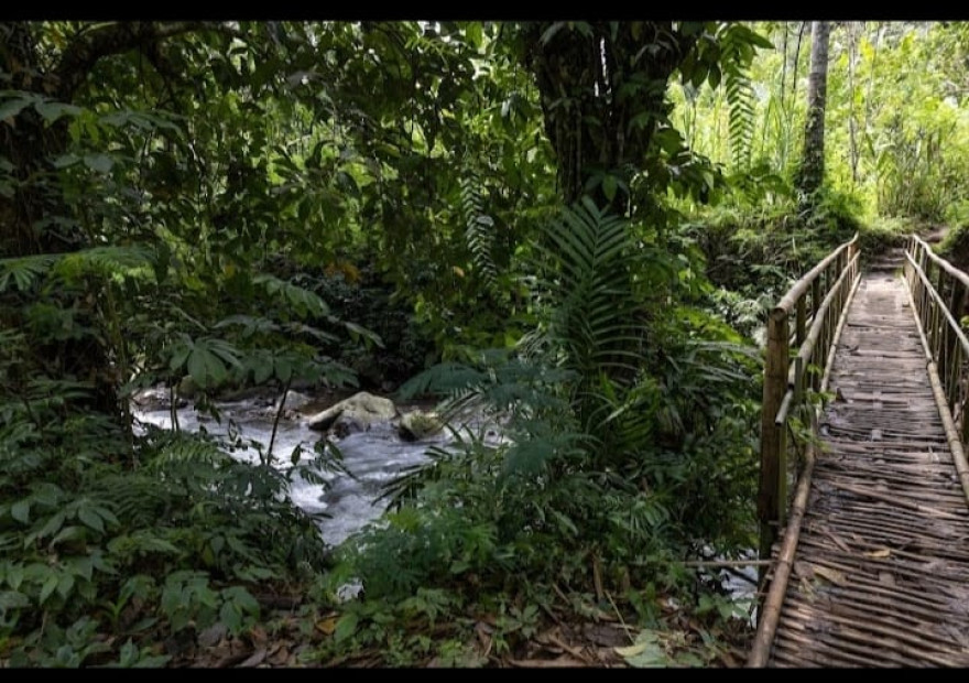 WISATA DESA MEKARSARI
